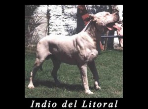 indio_del_litoral