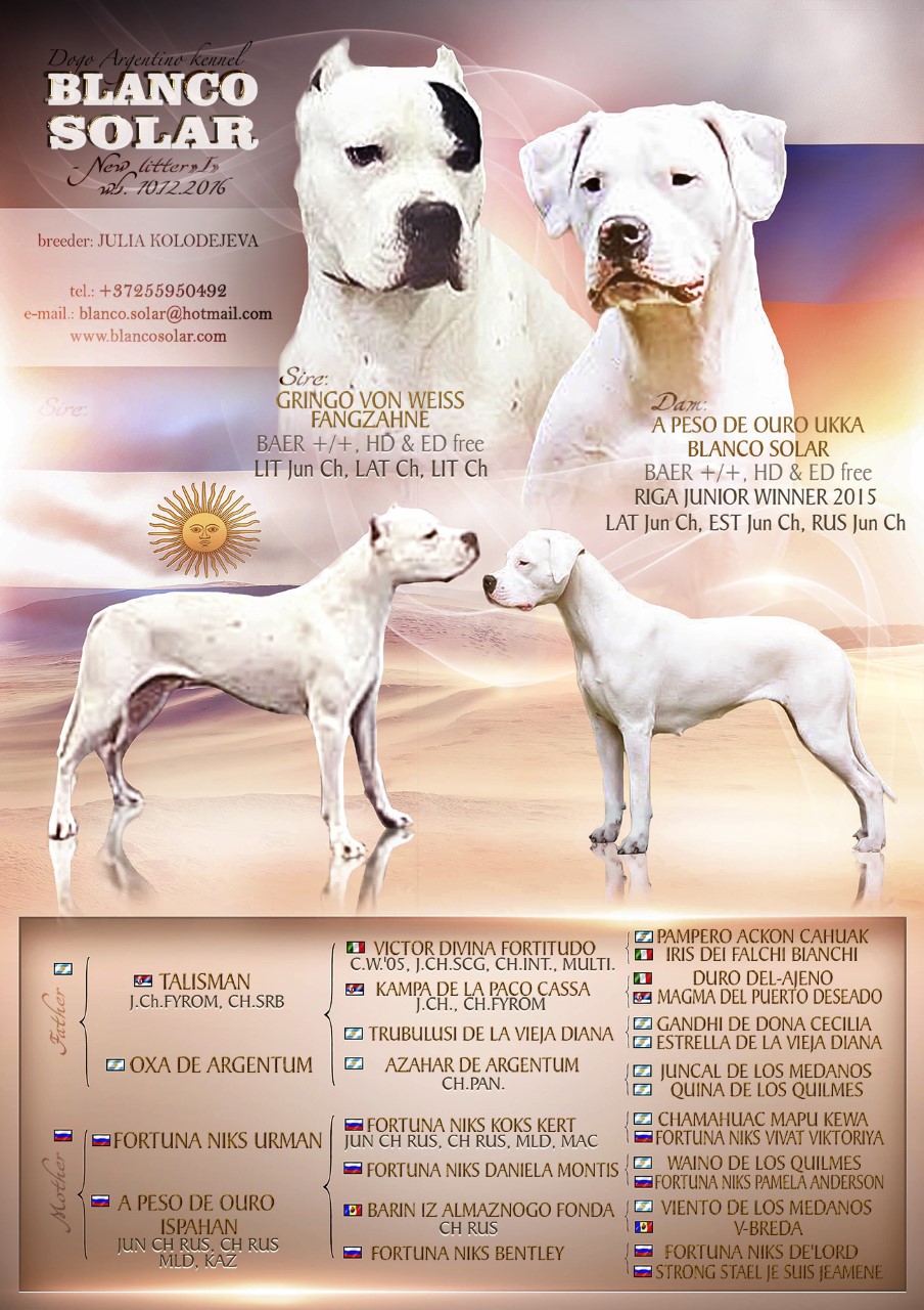 Dogo deals argentino breeders